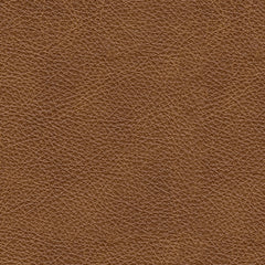 Emilia 6-Piece Sectional