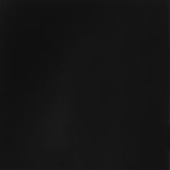 Eden Black Roll Out Trundle - MyWaynesHome #