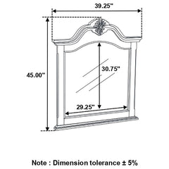 Cambridge Brown Dresser Mirror - MyWaynesHome #