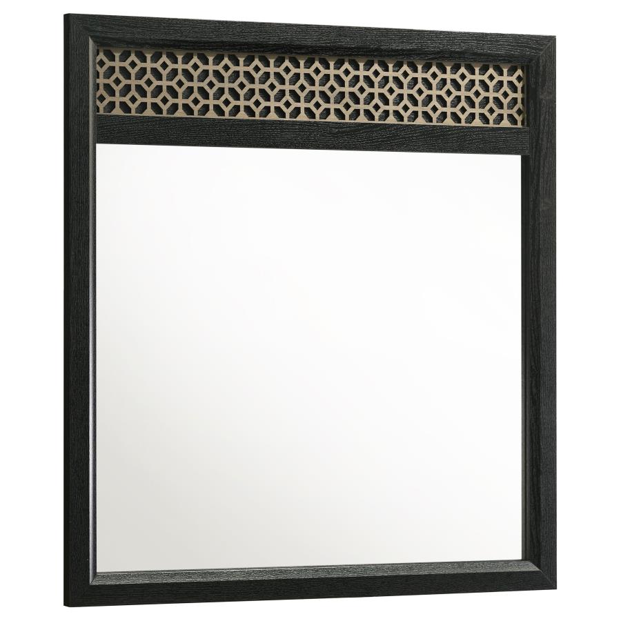 Coaster Furniture 223044 Valencia Dresser Mirror Black