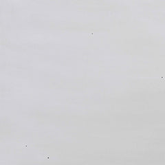 Hillcrest Ivory Chest - MyWaynesHome #