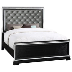 Cappola Black Queen Bed - MyWaynesHome #