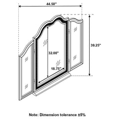 Evangeline Silver Vanity Mirror - MyWaynesHome #