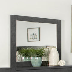 Lorenzo Grey Dresser Mirror - MyWaynesHome #