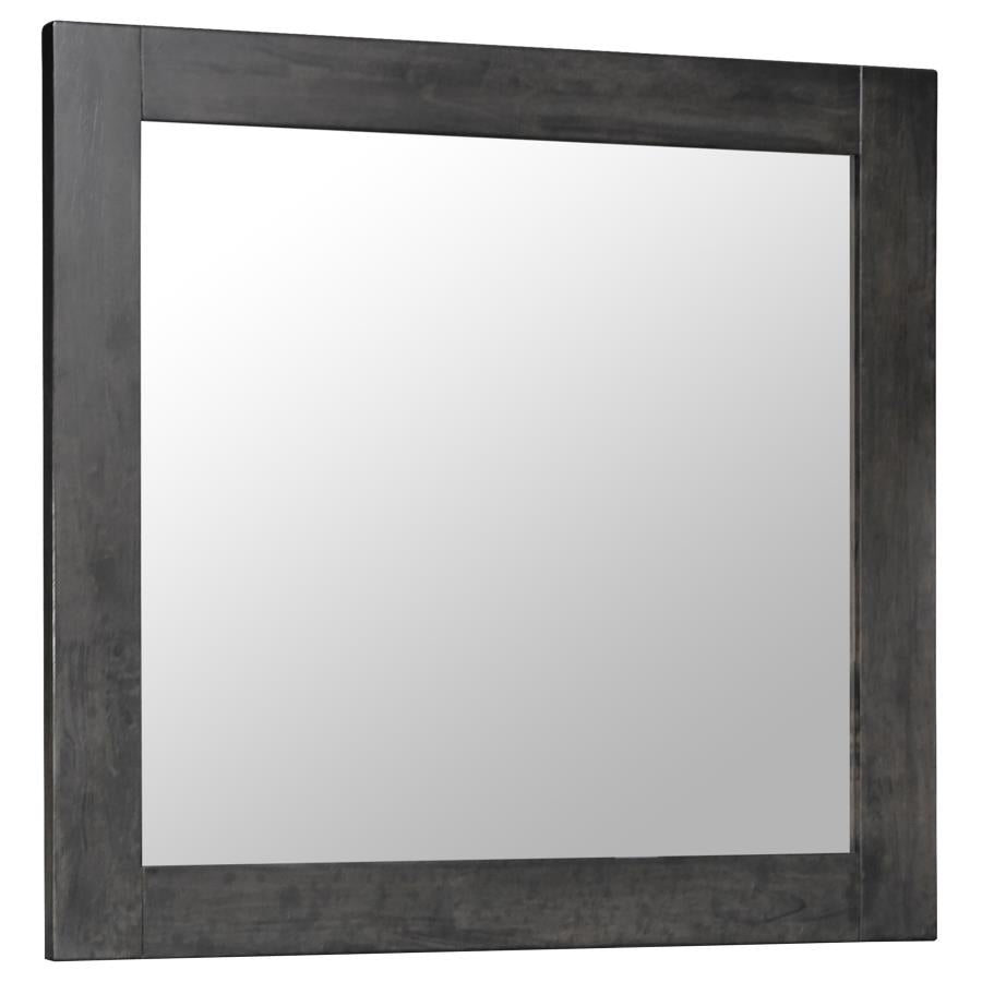 Lorenzo Grey Dresser Mirror - MyWaynesHome #