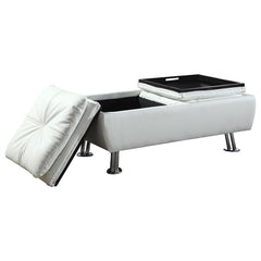 Dilleston White Storage Ottoman - MyWaynesHome #