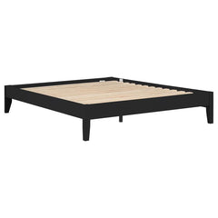 Hounslow Black Queen Bed - MyWaynesHome #
