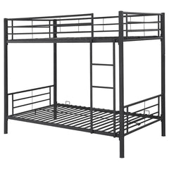 Hayward Black Twin / Twin Bunk Bed - MyWaynesHome #