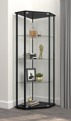 Zenobia Black Curio Cabinet - MyWaynesHome #