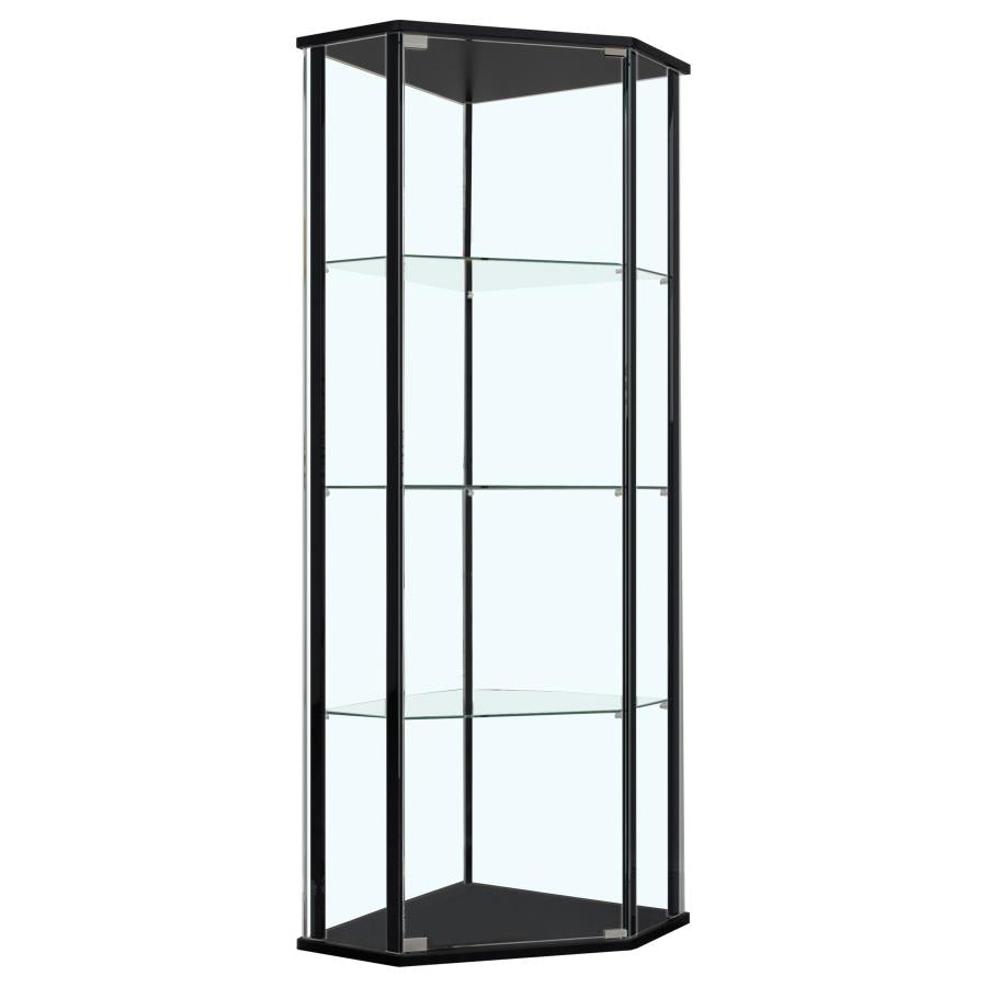 Zenobia Black Curio Cabinet - MyWaynesHome #