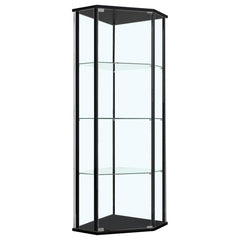 Zenobia Black Curio Cabinet - MyWaynesHome #