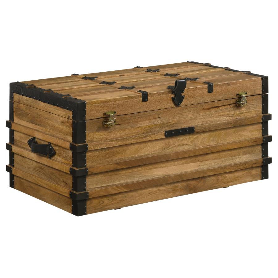 Simmons Brown Storage Trunk - MyWaynesHome #