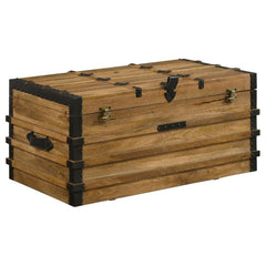 Simmons Brown Storage Trunk - MyWaynesHome #