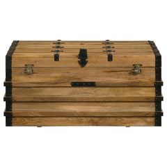 Simmons Brown Storage Trunk - MyWaynesHome #