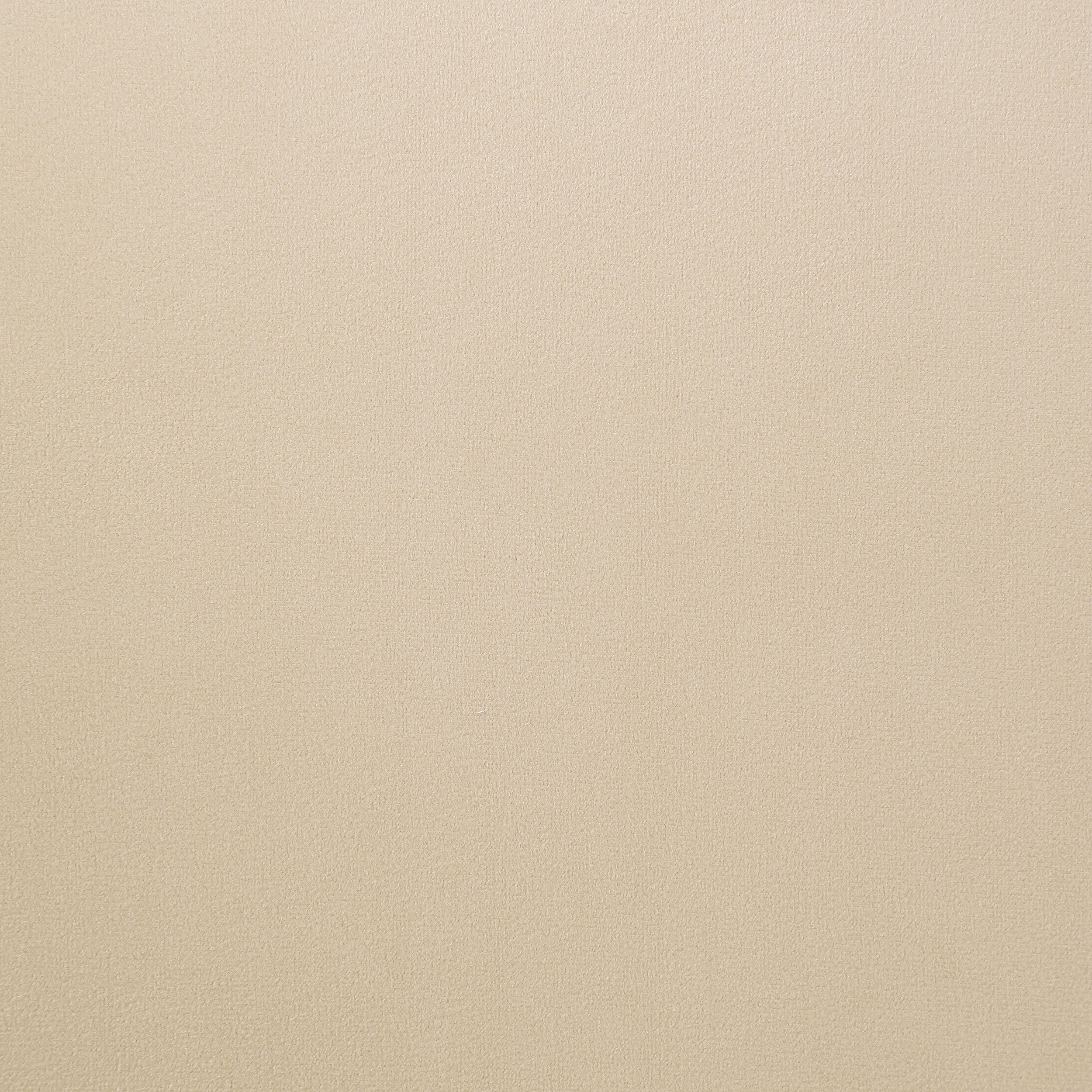 Galiano Velvet Upholstered Dining Arm Chair Beige (set Of 2) - MyWaynesHome #