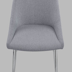 Tola Silver Dining Chair, Set of 2 - MyWaynesHome #