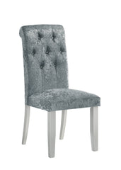 Vela Silver Dining Chair, Set of 2 - MyWaynesHome #