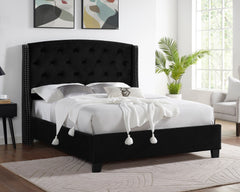 Eva Black Velvet Queen Upholstered Bed - MyWaynesHome #