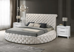 Brigitte Ivory Queen Upholstered Storage Panel Bed - MyWaynesHome #
