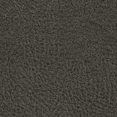 Navi Sofa - MyWaynesHome #