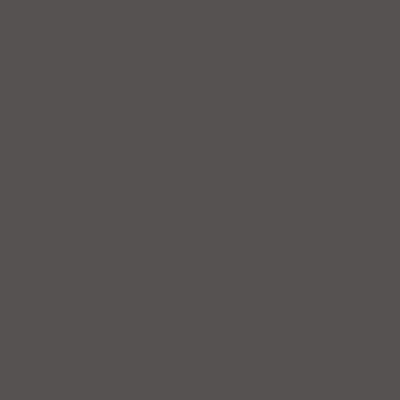 Dinsmore Bunk Bed and Mattress Set - MyWaynesHome #