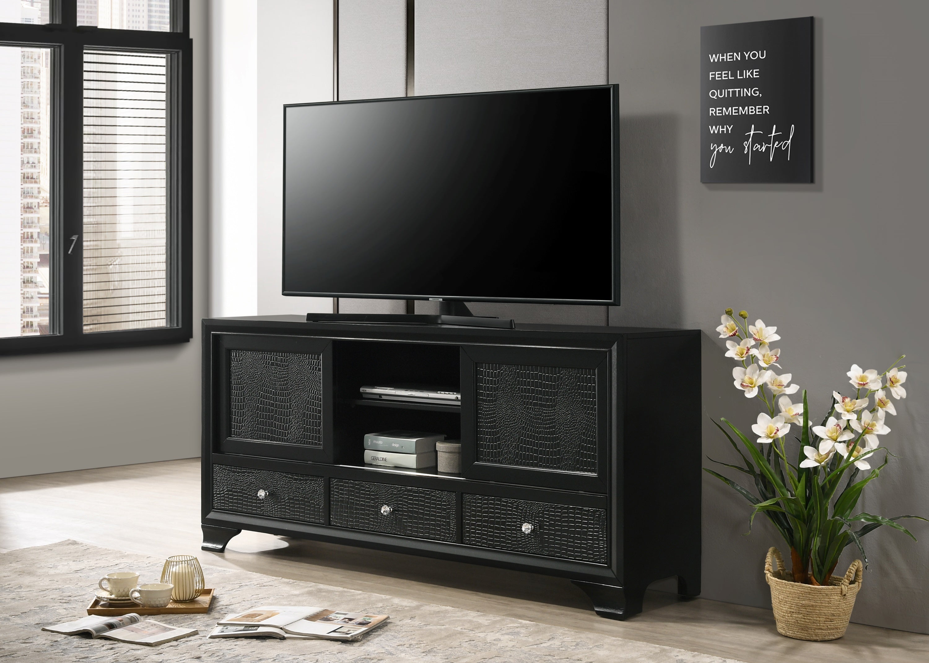 Lyssa Black TV Snad - MyWaynesHome #