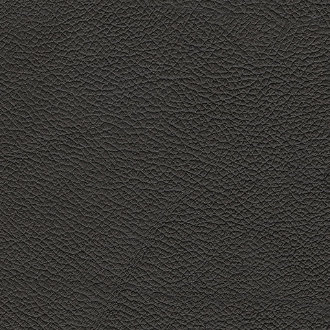 5Z-Comfort Power Reclining Sofa