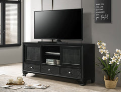 Lyssa Black TV Snad - MyWaynesHome #