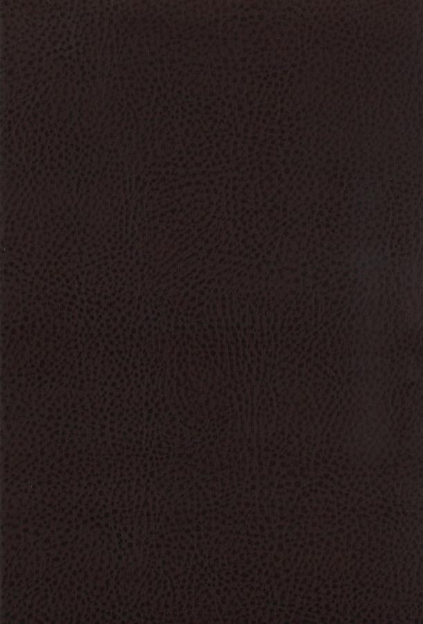 Dewey Brown Counter Stool - MyWaynesHome #