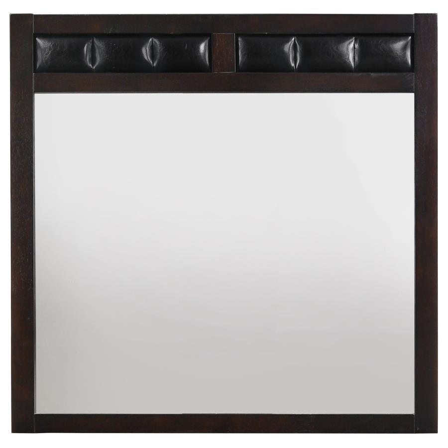 Carlton Brown Dresser Mirror - MyWaynesHome #