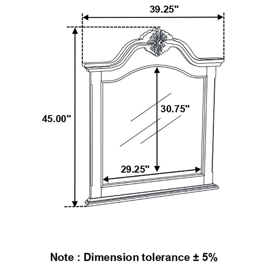 Cambridge Brown Dresser Mirror - MyWaynesHome #