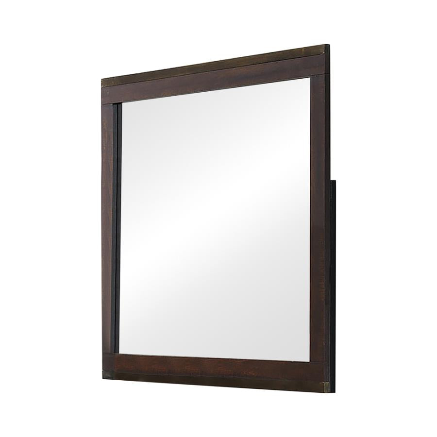 Edmonton Brown Dresser Mirror - MyWaynesHome #