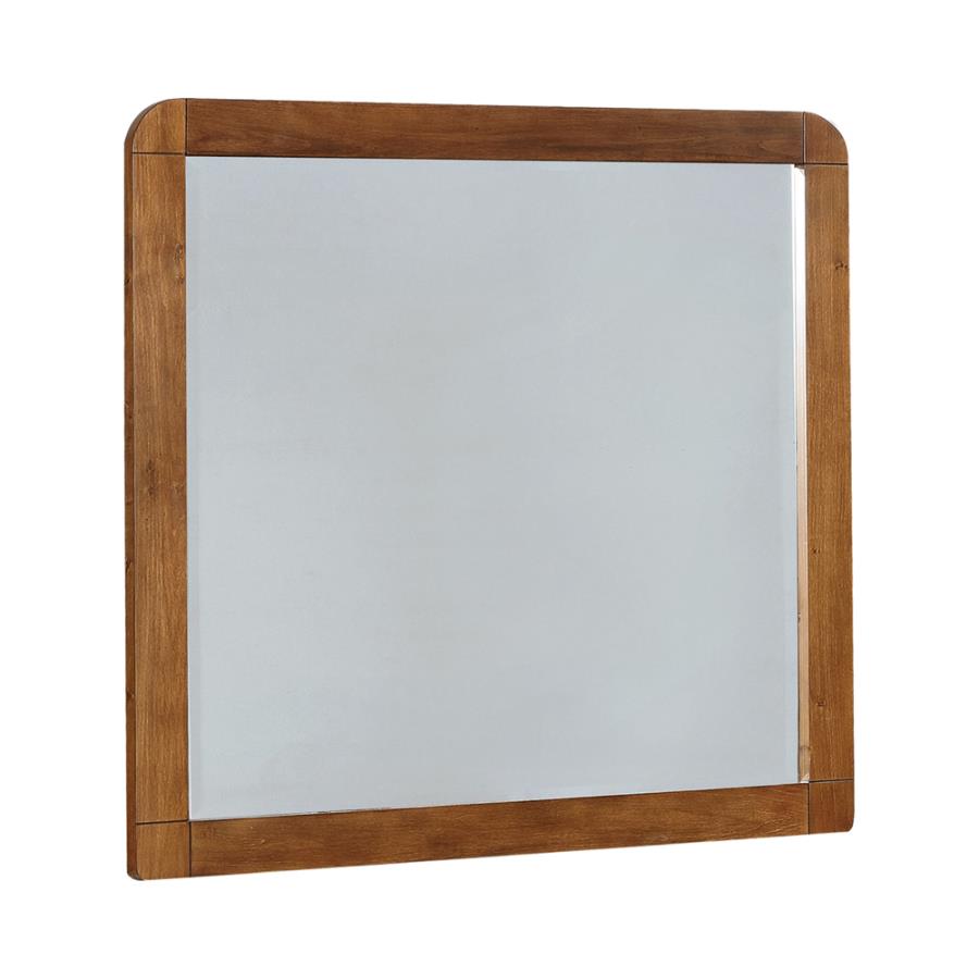 Robyn Brown Dresser Mirror - MyWaynesHome #