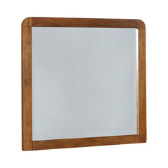 Robyn Brown Dresser Mirror - MyWaynesHome #