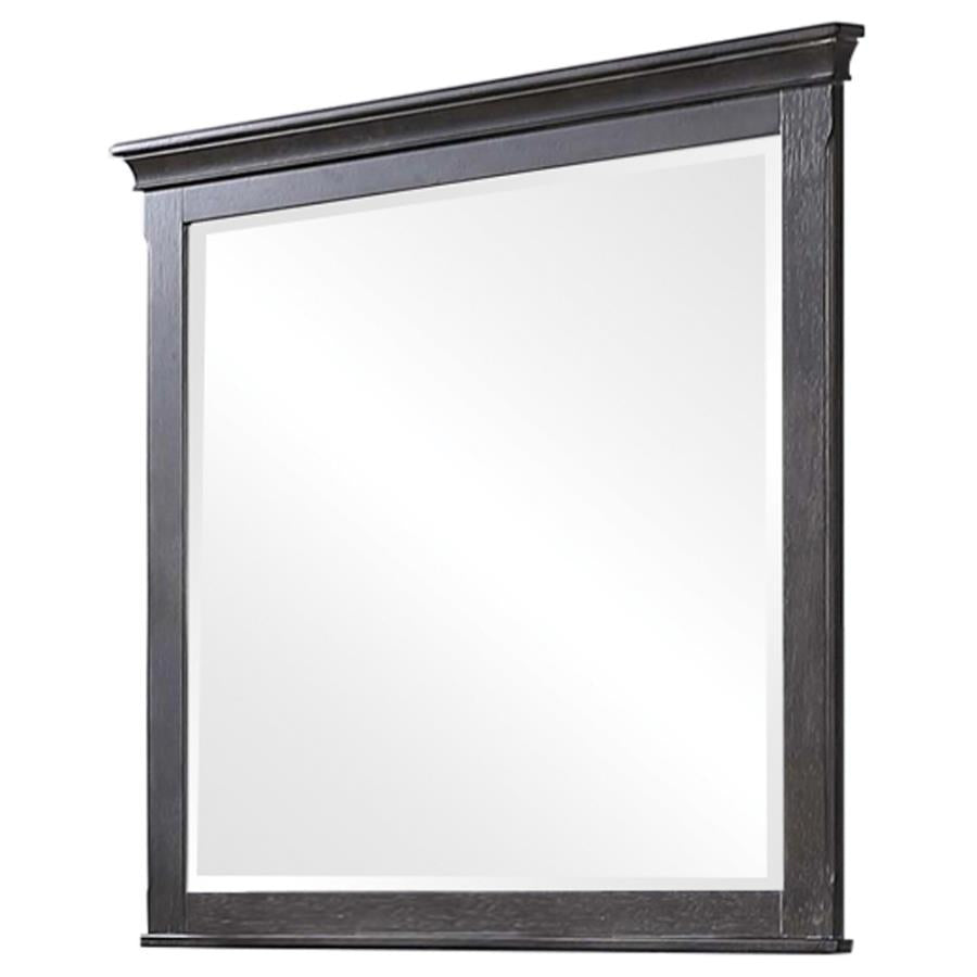 Franco Grey Dresser Mirror - MyWaynesHome #