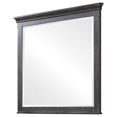 Franco Grey Dresser Mirror - MyWaynesHome #