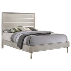 Ramon Silver Queen Bed - MyWaynesHome #