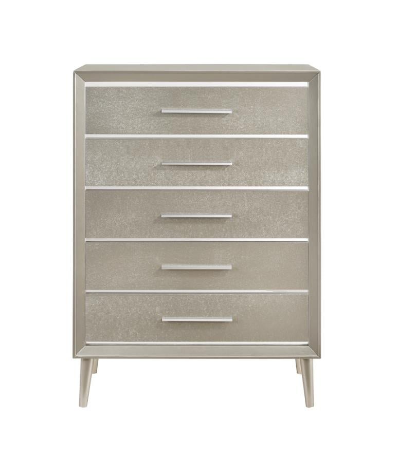 Ramon Silver Chest - MyWaynesHome #