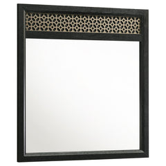 Valencia Black Dresser Mirror - MyWaynesHome #