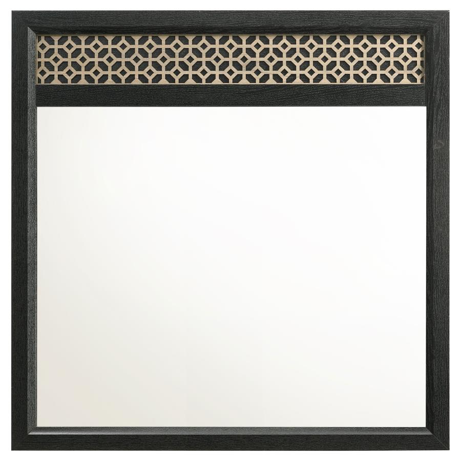 Valencia Black Dresser Mirror - MyWaynesHome #