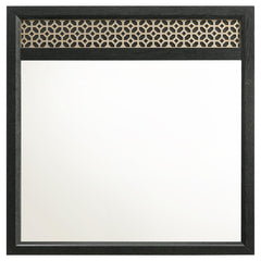 Valencia Black Dresser Mirror - MyWaynesHome #