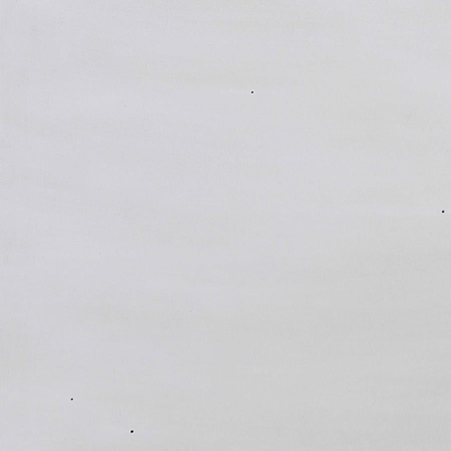 Hillcrest Ivory Chest - MyWaynesHome #