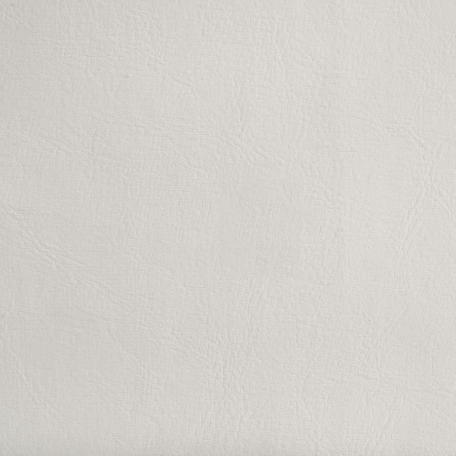 Kendall White Queen Bed - MyWaynesHome #