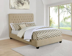 Chloe Beige Queen Bed - MyWaynesHome #
