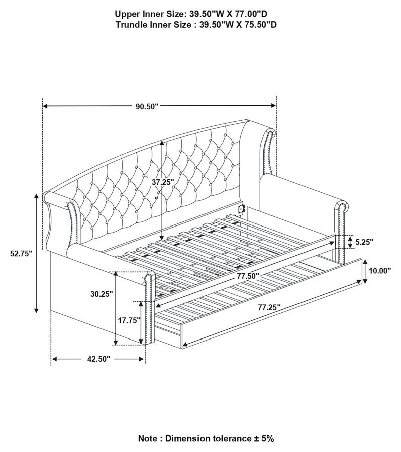 Scarlett Grey Twin Daybed W/ Trundle - MyWaynesHome #