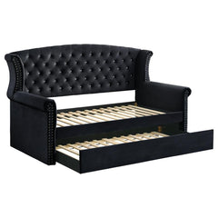 Scarlett Black Twin Daybed W/ Trundle - MyWaynesHome #