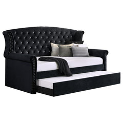 Scarlett Black Twin Daybed W/ Trundle - MyWaynesHome #