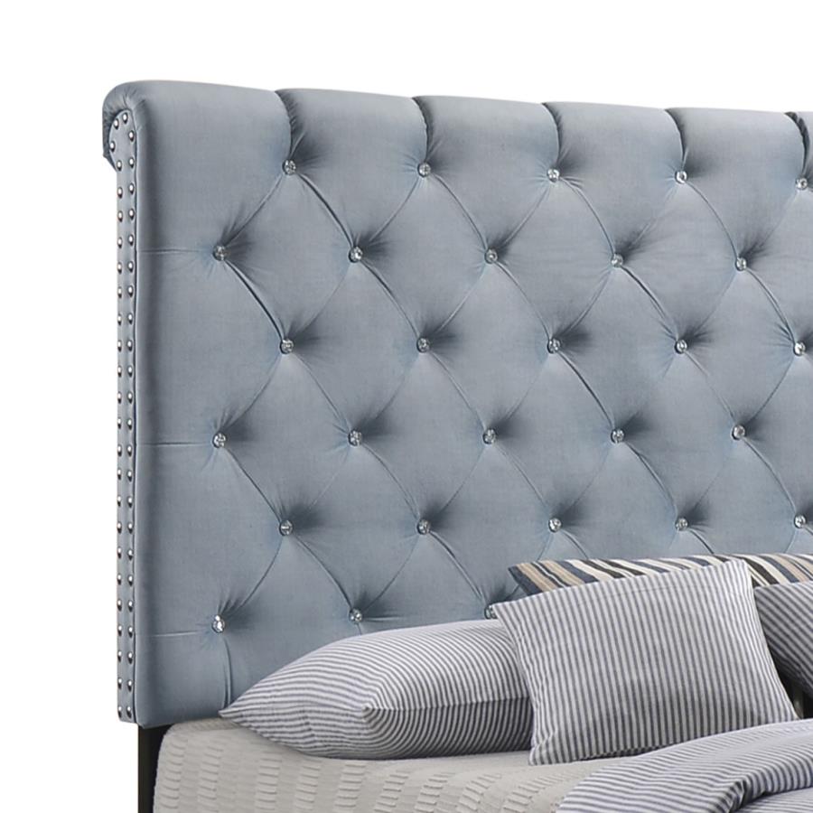 Warner Blue Eastern King Bed - MyWaynesHome #