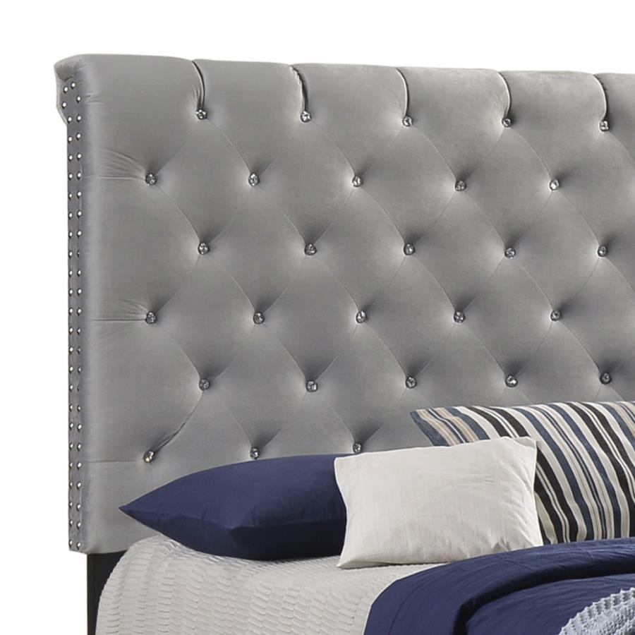 Warner Grey Queen Bed - MyWaynesHome #