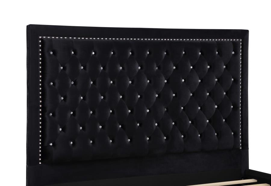 Hailey Black Queen Bed - MyWaynesHome #